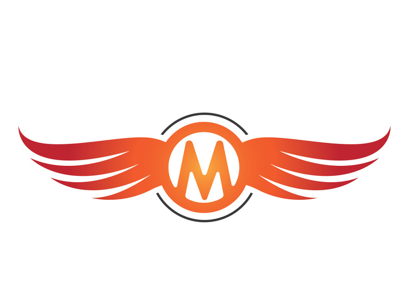 Wing bird logo vector