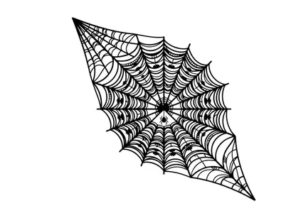 Intricate Spider Web with Dew Drops on Black Background