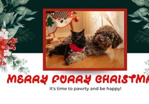 Christmas Pipow