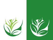 Green tree leaf nature logo images illustration design