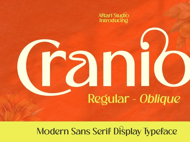 Cranio - Modern Sans Serif Display Font