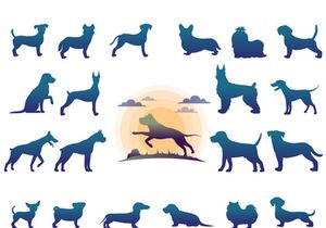 Animals : Silhouette Collection With Logo