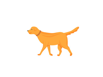 Ginger dog flat color vector character preview picture