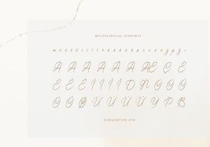 Somtiesay | Elegant Calligraphy Script