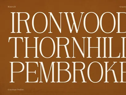 Rinovich | Display Serif Font