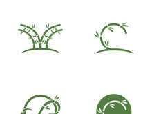 Bamboo Logo Template vector icon