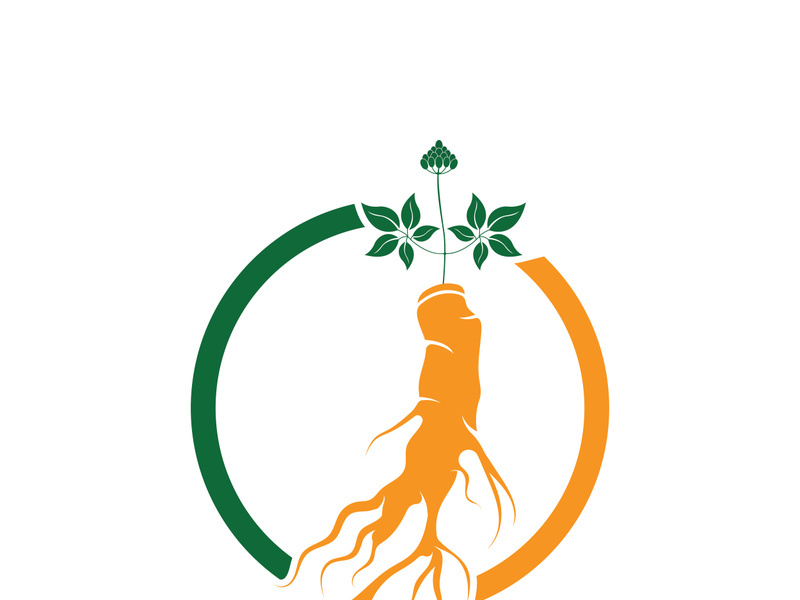 Ginseng logo design template and symbol icon vector illustration