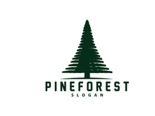 Forest Logo, Vector Forest Wood With Pine Trees Design