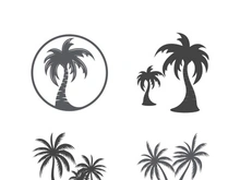 Palm tree summer logo template vector illustration