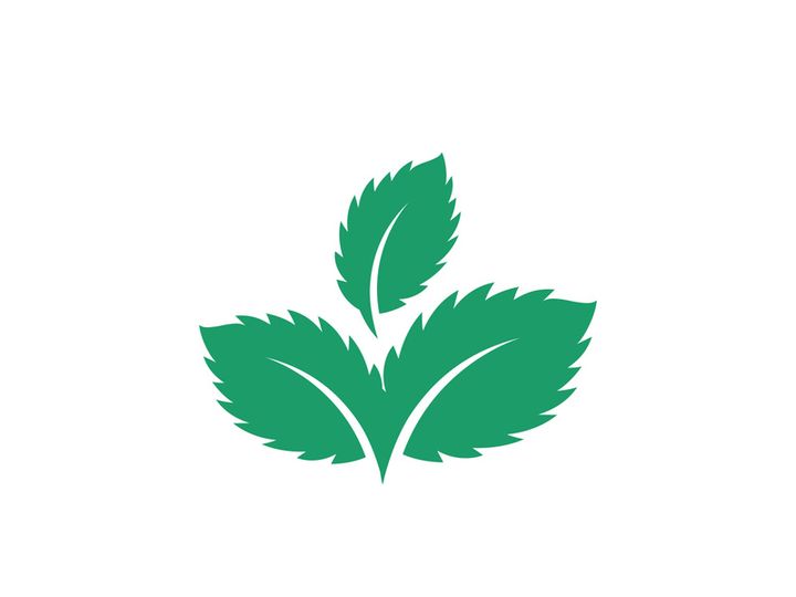 Mint Leaf icon template illustration