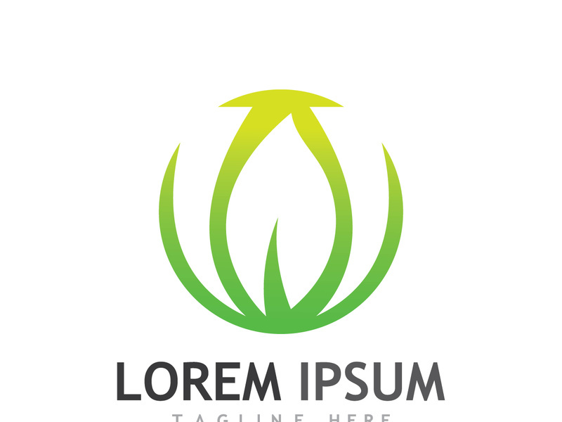 Colorful natural leaf logo design.