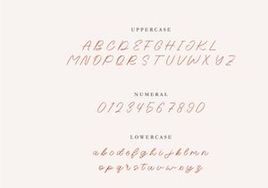NCL BIQUE KISTY - LOVE SWASH SCRIPT