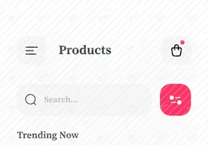 Gostyle E-commerce Fashion Mobile App