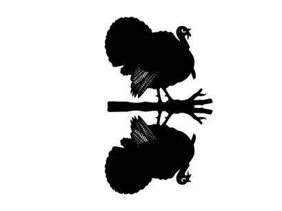 Silhouette of a turkey on a tree branch at night