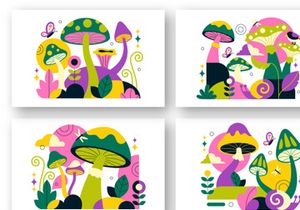 10 Mushrooms Vector Illustration