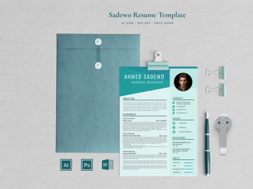 Professional Resume Sadewo preview picture