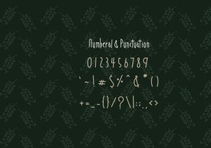 Decaf Font