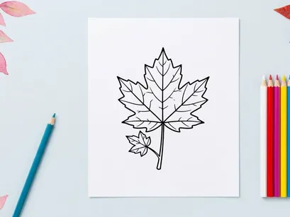 Detailed maple leaf illustration. Artistic botanical drawing for design projects