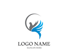 Dove bird logo vector design illustration