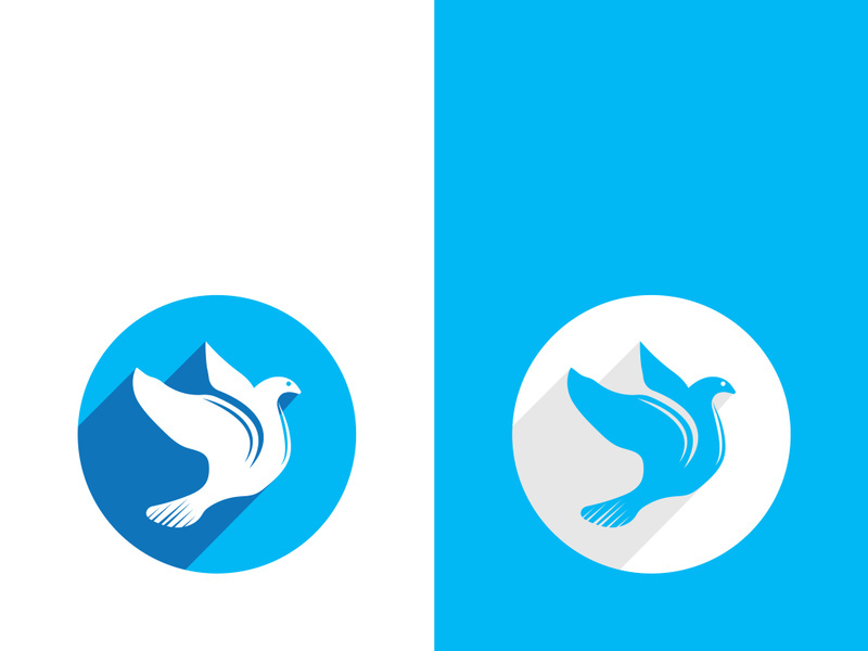 Dove bird logo vector design illustration