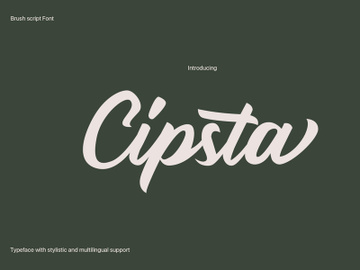 Cipsta preview picture