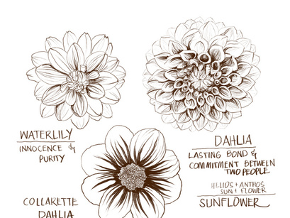 Florals | Free Hand Drawings