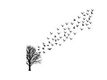 Silhouette of birds flying from tree on white and yellow background silhouette