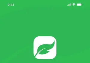 Green Taxi For Adobe XD