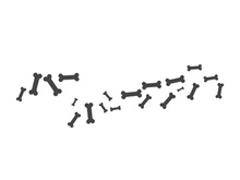 Bone icon design illustration