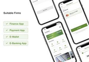 FlexPay Loan Mobile App