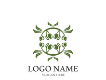 olive icon vector illustration design template