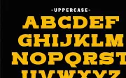 Sporty Varsity - Condensed Slab Serif