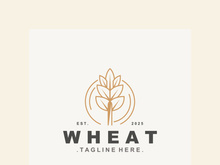 Wheat logo concept, agriculture nature wheat grain logo template