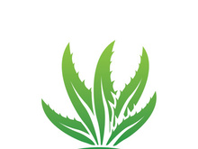 Aloe Vera logo icon design symbol beauty skin care