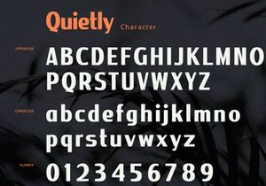 Quietly - Sans Serif Font