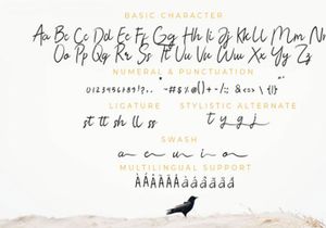 AMASYA - MODERN CALLIGRAPHY FREE FONT