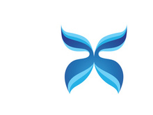 Beauty Butterfly Vector icon design