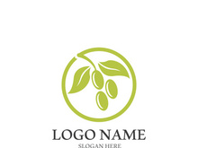 olive icon vector illustration design template