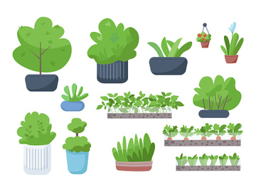 Home and street greenery flat color vector objects set preview picture