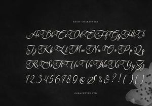 Kadegon | Beauty Calligraphy Script