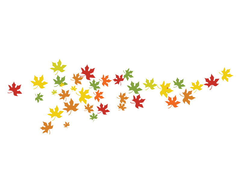 Maple Leaf design illustration