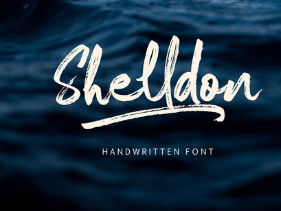 Shelldon Brush Script Font Demo (Personal Use)
