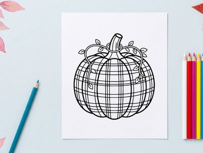 Plaid pumpkin line art illustration. Autumn harvest vegetable drawing with tartan pattern.