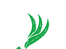 Aloe Vera logo icon design symbol beauty skin care