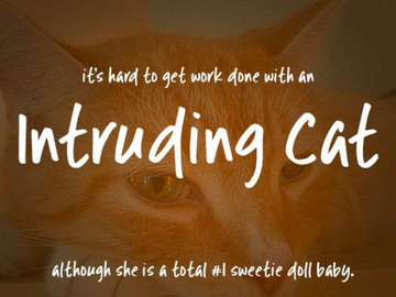 Intruding Cat - Free Font preview picture
