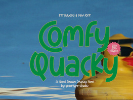Comfy Quacky | Display Hand Drawn preview picture