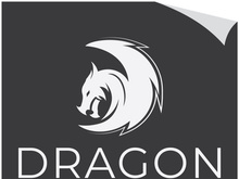 Dragon logo art illustration