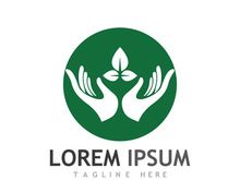 Natural green leaf logo design.