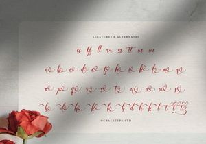 Sabrysoul | Beauty Calligraphy Script