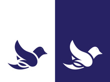 Dove bird logo vector design illustration